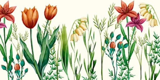 Eddington Community Orchestra's Spring Concert 2026