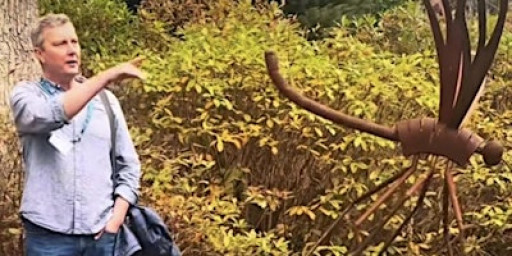 Surrey Sculpture Exhibition at Riverhill: Tours with Sculptors.