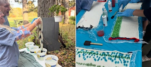 Yarn Dye Adventure & Sock Blank Class