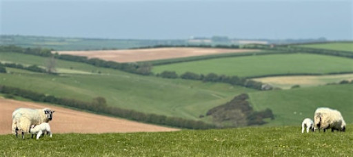 Walk by train - Maiden Newton to Dorchester