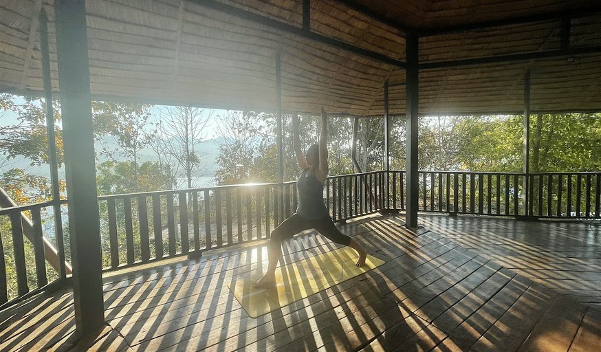 Yoga Medicine (Early Summer Series)