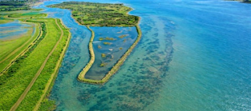 BEGINNERS HIKE 14km Fishing Towns & Nature Reserves of the Thames Estuary
