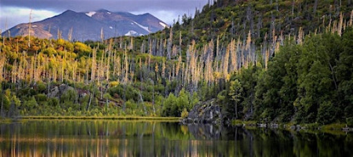 Intermediate Photography 201