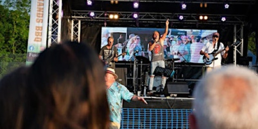 The Licks : Oval Summer Sundays