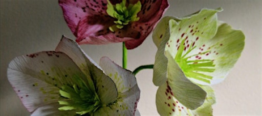 Spring Paper Flower Craft Workshop & Cream Tea