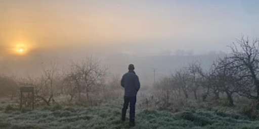 Wildlife & Wellbeing Walk