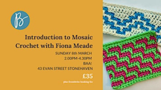 Improver's Crochet: Introduction to Mosaic Crochet (Afternoon Session)