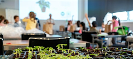 Holiday workshops: Architecture for plants (ages 7 - 8)