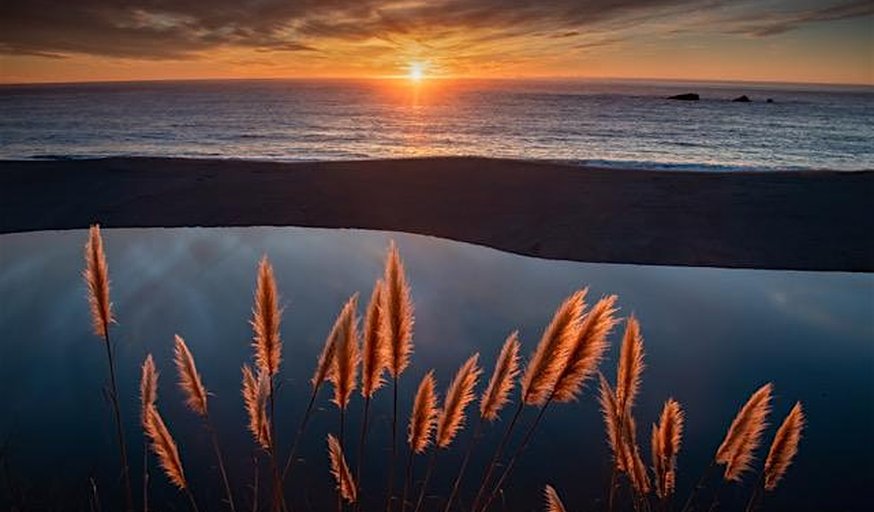 Creative iPhone Photography: Tools, Vision, and Technique