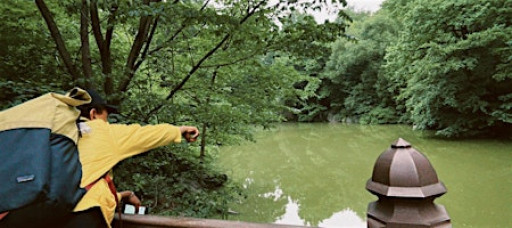 Spontaneous Film photography and walk in Central Park