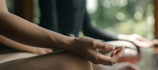 Embodied Wellness Experience