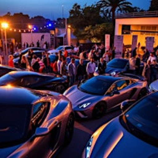 AutoNet VIP -Networking