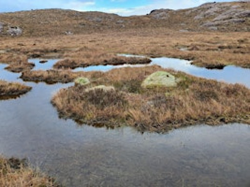 Short Walk to Nature: Breather on the Bog