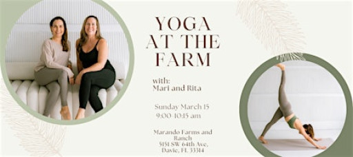Yoga at the Farm
