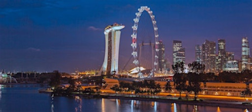 Singapore Indonesia Business Networking & Startup Meet (Free Online)