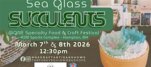 DIY Sea Glass Succulent Workshop @GNE Specialty Food & Craft Festival