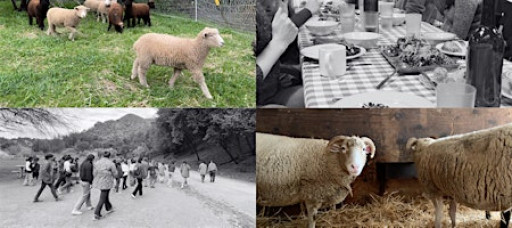 Knitter Dinner at Hidden Villa 2026