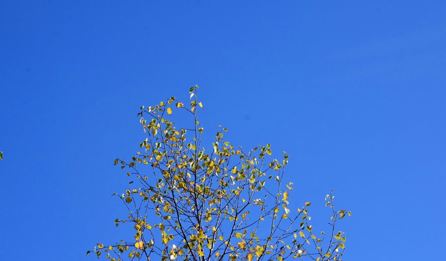 Photography ~ Mindfulness & Meditation