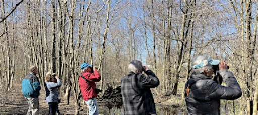 Early Spring Bird and Nature Walk, Long Pond