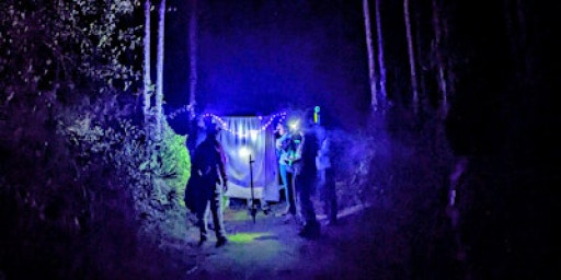 Members-Only: Bug Watch!