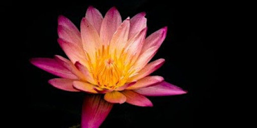 Breathwork & Mindfulness